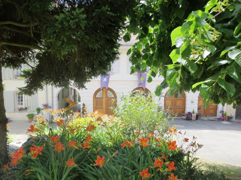 La Maison Des Fontaines D'Alsace Ferrette Стая снимка