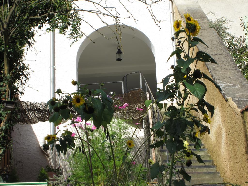 La Maison Des Fontaines D'Alsace Ferrette Екстериор снимка