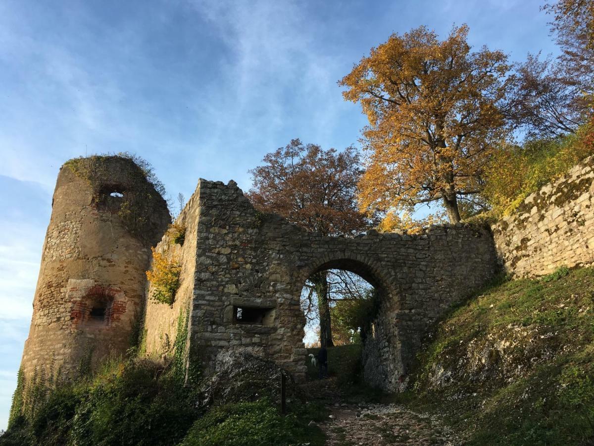 La Maison Des Fontaines D'Alsace Ferrette Екстериор снимка