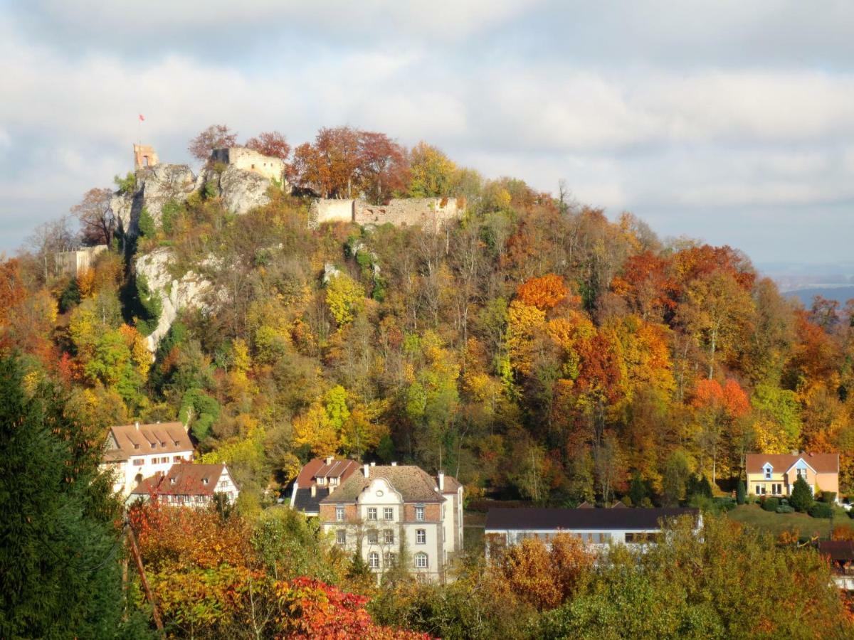 La Maison Des Fontaines D'Alsace Ferrette Екстериор снимка